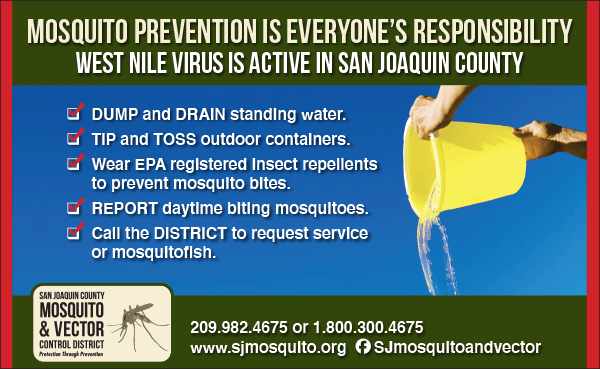 Mosquito Prevention Is Everyone's Responsibility Mosquito Prevention Is Everyone's Responsibility