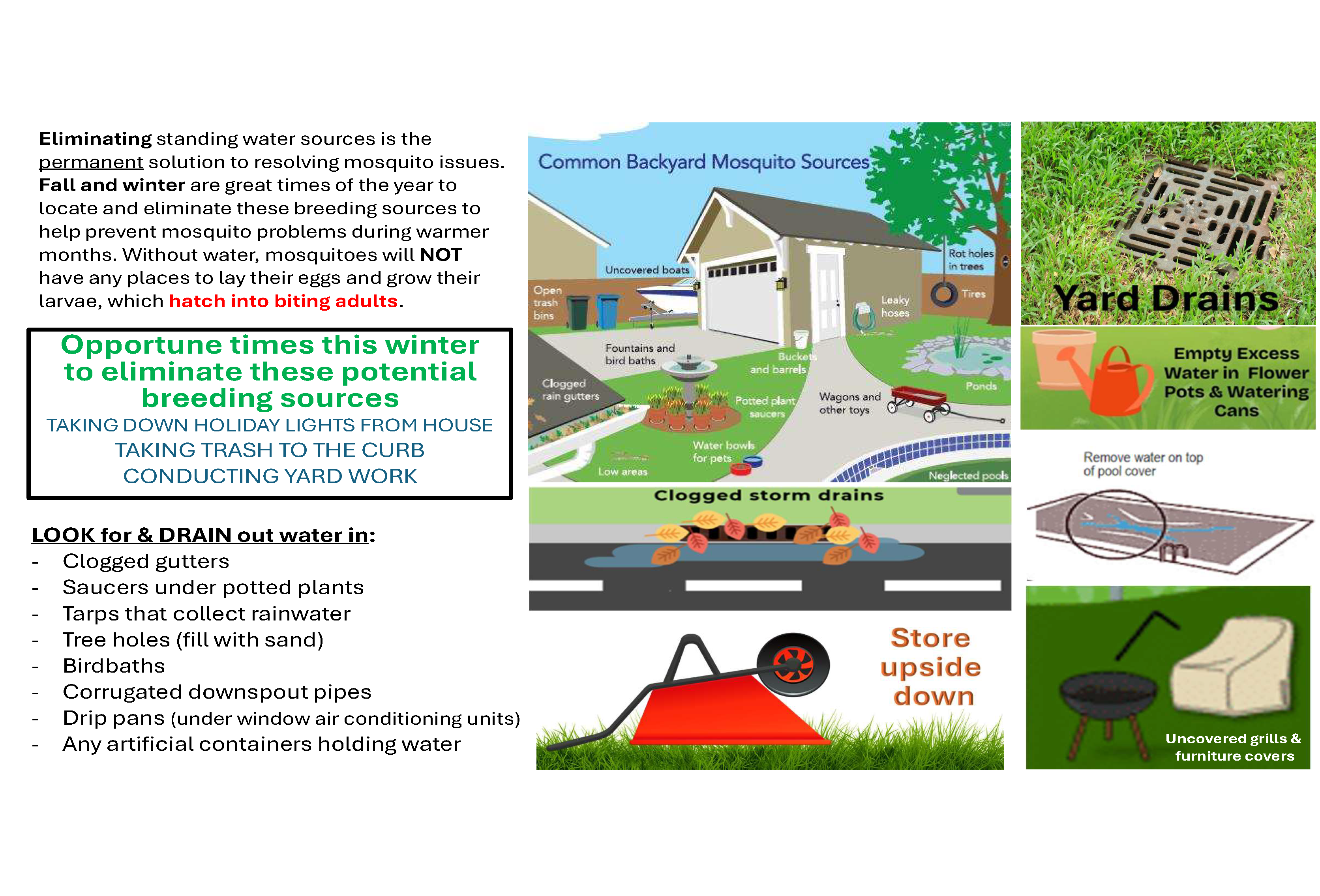 Eliminating standing water sources is the permanent solution to resolving mosquito issues.  Fall and winter are great times of the year to locate and eliminate these breeding sources to help prevent mosquito problems during warmer months.  Without water, mosquitoes will not have any places to lay their eggs and grow their larvae, which hatch into biting adults.  Opportune times this winter to eliminate these potential breeding sources: Taking down holiday lights from house, taking trash to the curb, and conducting yard work.  Look for and drain water in: clogged gutters, saucers under potted plants, tarps that collect rainwater, tree holes (fill with sand), birdbaths, corrugated downspout pipes, drip pans (under window air conditioning units), any artificial containers holding water.  Image depicts common backyard mosquito sources: yard drains, empty excess water in flowering pots and watering cans, remove water on top of pool covers, uncovered grills and furniture covers, clogged storm drains, rot holes in trees, leaky hoses, ponds, wagons and other toys, neglected pools, water bowls for pets, buckets and barrels, clogged rain gutters, fountains and bird baths, open trash bins, and uncovered boats.  Make sure to store items that can collect water upside down (such as wheelbarrows)