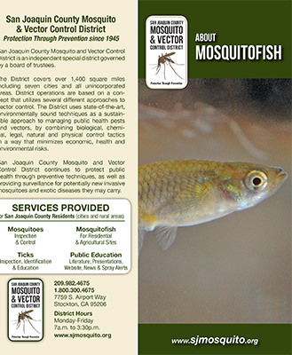 About Mosquitofish Brochure
