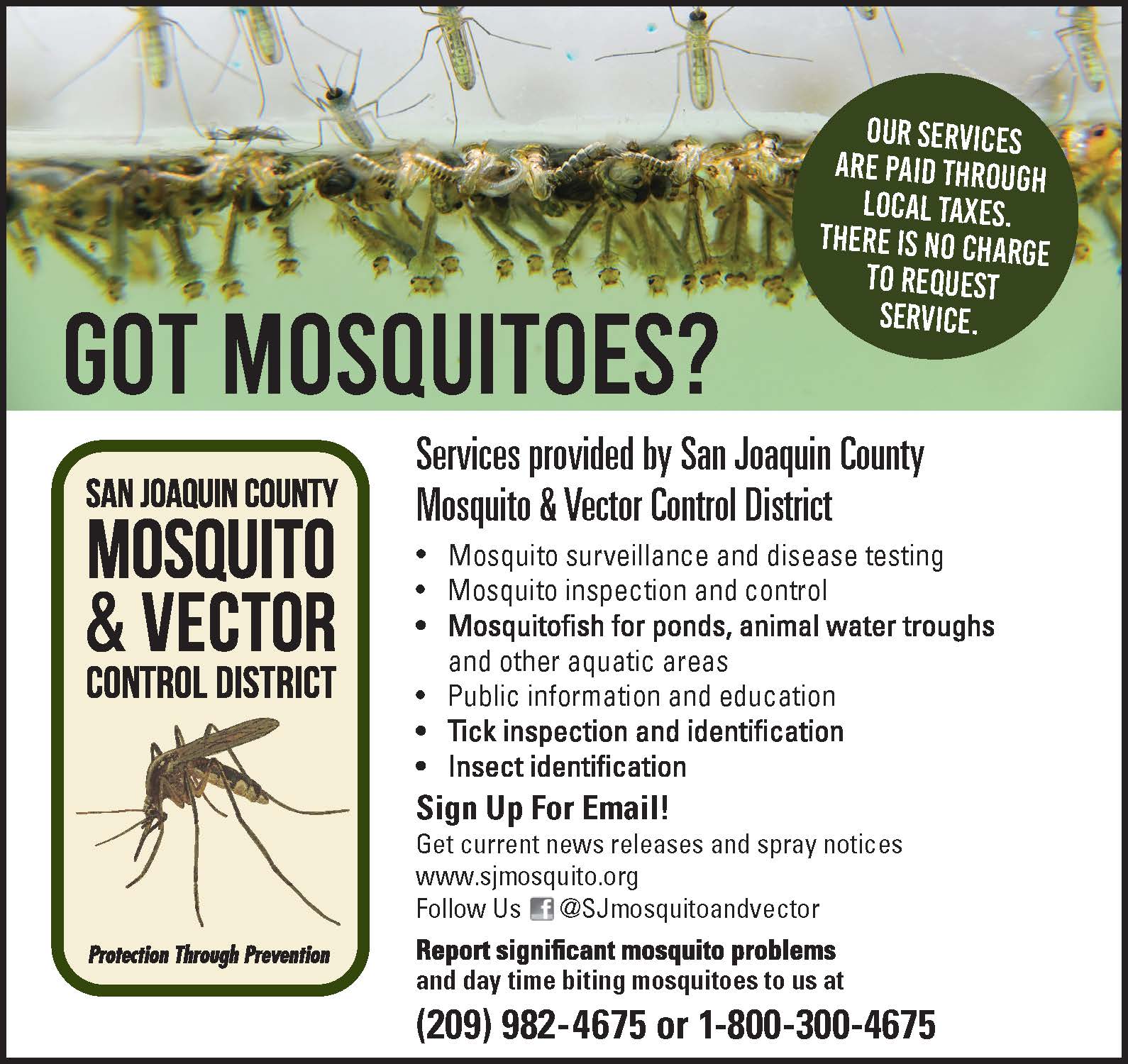 SJC ad-Got Mosquitoes-5_3x5 color.jpg