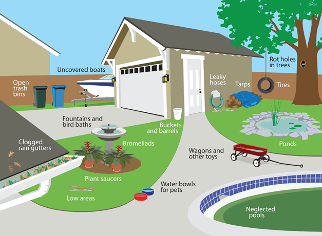 Standing water locations around the home.